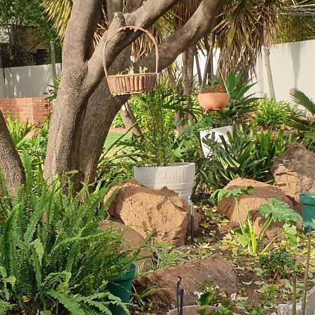 Elephant Bush Guest Cottage Alberton Exteriér fotografie