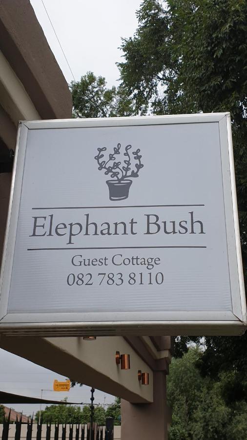 Elephant Bush Guest Cottage Alberton Exteriér fotografie